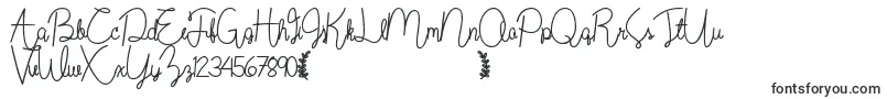 Шрифт Wildflowerbold – надписи красивыми шрифтами