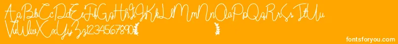 Wildflowerbold-Schriftart – Weiße Schriften auf orangefarbenem Hintergrund