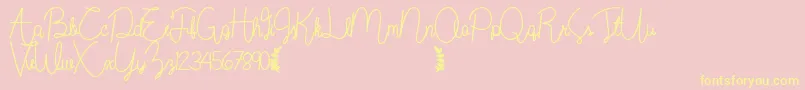 Wildflowerbold Font – Yellow Fonts on Pink Background