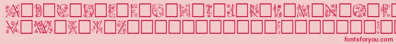 LilithPlain Font – Red Fonts on Pink Background