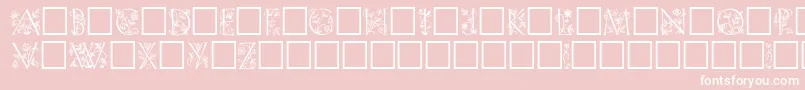 LilithPlain-Schriftart – Weiße Schriften auf rosa Hintergrund