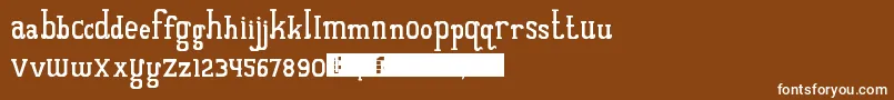 QuantumOfBali Font – White Fonts on Brown Background