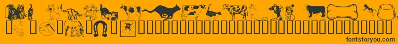 Wmanimals1 Font – Black Fonts on Orange Background