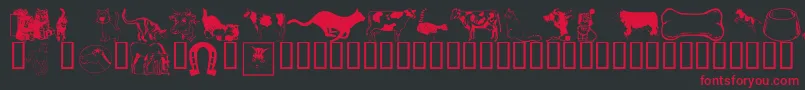 Wmanimals1 Font – Red Fonts on Black Background