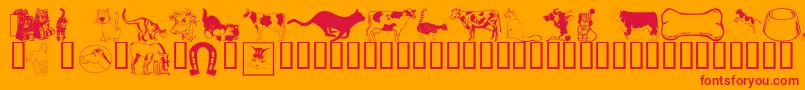 Wmanimals1 Font – Red Fonts on Orange Background