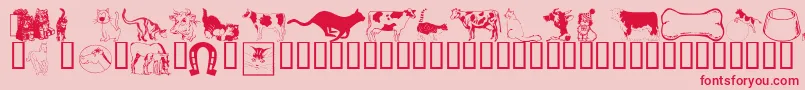 Wmanimals1 Font – Red Fonts on Pink Background
