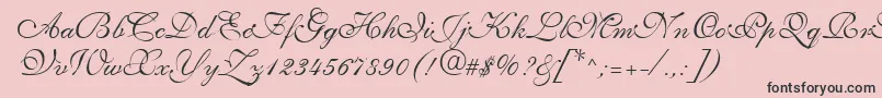 Saffrontoo Font – Black Fonts on Pink Background