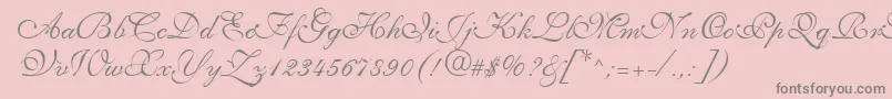 Saffrontoo Font – Gray Fonts on Pink Background