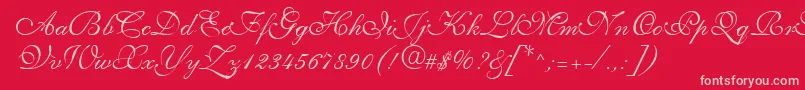 Saffrontoo-Schriftart – Rosa Schriften auf rotem Hintergrund