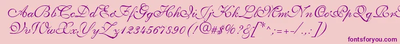 Saffrontoo-Schriftart – Violette Schriften auf rosa Hintergrund