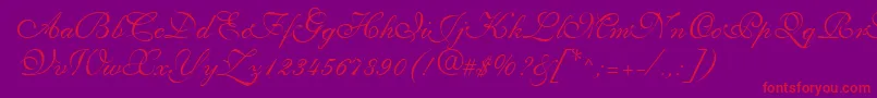 Saffrontoo Font – Red Fonts on Purple Background