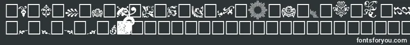 FelipeRegular Font – White Fonts on Black Background