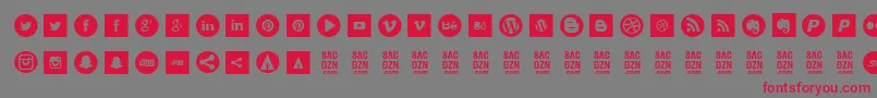 Socialtype Font – Red Fonts on Gray Background