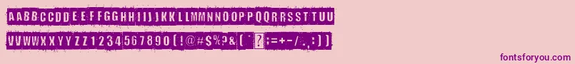 Police DistortYouALesson – polices violettes sur fond rose
