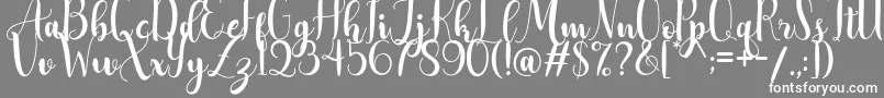 AdreenascriptDemo Font – White Fonts on Gray Background