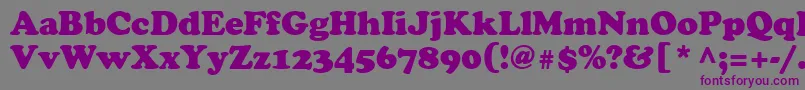 Agcsr Font – Purple Fonts on Gray Background