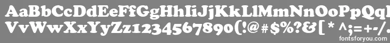 フォントAgcsr – 灰色の背景に白い文字