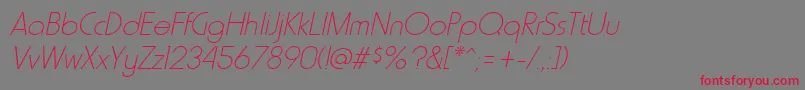 HammerthinItalic Font – Red Fonts on Gray Background